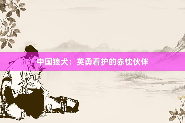 中国狼犬：英勇看护的赤忱伙伴